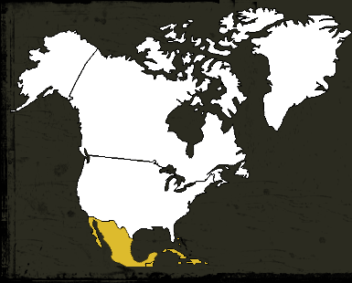 North America