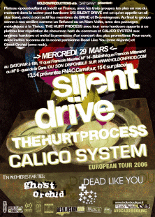 calico system,silent drive,the hurt process